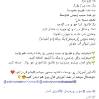 سلام وقت بخیر تلفات مرغ