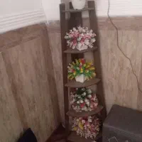 پایه گل سالم