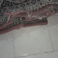 فرش قفس پایه آهنی|فرش|گلبهار, شهر جدید گلبهار|دیوار