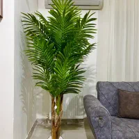 درختچه های مصنوعی وارداتی|گل مصنوعی|لاهیجان, رجایی|دیوار