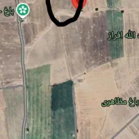 فروش ۲هکتار زمین کشاورزی در صحرای کلاچو|فروش زمین و ملک کلنگی|دهدشت, |دیوار