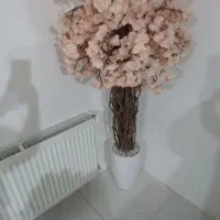 درختچه شکوفه