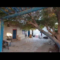 خانه ویلایی ۲۰۰ متری جزیره هرمز تیاب بندر|اجارهٔ خانه و ویلا|هرمز, |دیوار