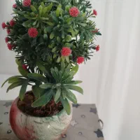 گل  زیبا|گل مصنوعی|بجنورد, |دیوار