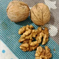 گردوتازه امساله|خوردنی و آشامیدنی|اسفرورین, |دیوار