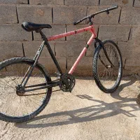 26 تنه آساک|دوچرخه، اسکیت، اسکوتر|کرباسک, |دیوار