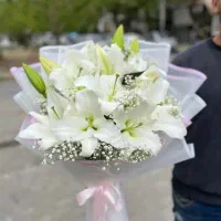 پخش گل رز هلندی و لیلیوم به قیمت عمده