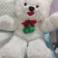 عروسک خرسی بزرگ
