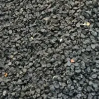 بذر پیاز قرمز شش ماه و بذر پیاز تبریزی