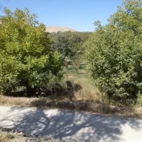 ۸۰۰ متر باغ گردو