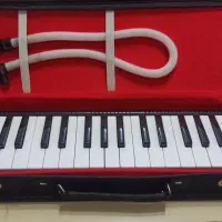 ملودیکا|پیانو، کیبورد، آکاردئون|مشگین شهر, |دیوار