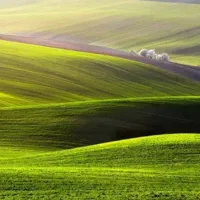 سرکارگر برای انواع کارهای کشاورزی هستم
