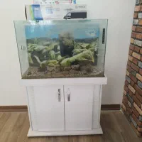 اکواریوم شیشه خم