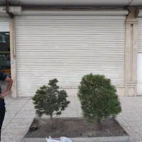 مغازه توس۳۳ کشف|اجارهٔ مغازه و غرفه|مشهد, کشف|دیوار