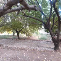 باغ|فروش دفتر صنعتی، کشاورزی، تجاری|خرم‌آباد, |دیوار