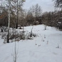 استخدام آشپز،تخته کار،کارگر ساده.