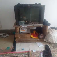 تلویزیون با میز ۳۲ اینج  پاناسونیک شهر نقاب