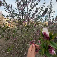 واحد شخصی ساز با ۶ ماه اقساط