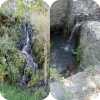 تور یک روزه کردینه