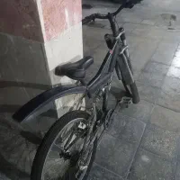 دوچرخه سالم سالم ۲۴