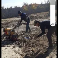 سمپاشی باغبانی تیلرزنی سم پاشی هرس کاری|خدمات باغبانی و درختکاری|مشهد, وکیلآباد|دیوار