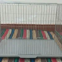 قفس پرنده