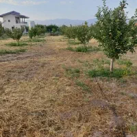 خرید قطعه باغ