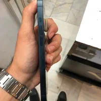 iPhone 13|موبایل|تربتحیدریه, فرمانداری|دیوار