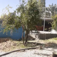 فروش باغ شهری