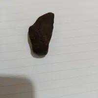 فروشی قیمت توافقی|کلکسیون اشیاء عتیقه|نی‌ریز, |دیوار