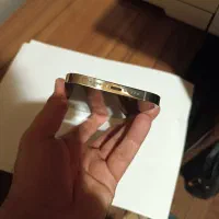 اپل ۱۲ پرو|موبایل|بیرجند, |دیوار