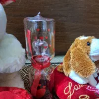 سرگرمی|اسباببازی|قم, بلوار امین و ساحلی|دیوار