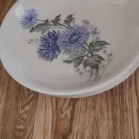 سینی مستطیل|ظروف نگهدارنده، پلاستیکی، یک‌بارمصرف|مراغه, |دیوار