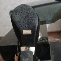 کفش زنانه پاشنه دار|کیف، کفش، کمربند|نیشابور, گنبد سبز|دیوار