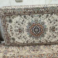 فرش ماشینی|فرش|سنندج, |دیوار