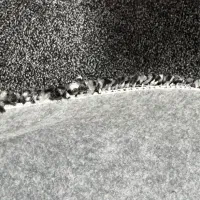 موکت طرح پالس پالاز|موکت|یزد, |دیوار