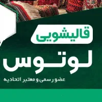قالیشویی  لوتوس تخفیف ویژه پاییزه پتتو رایگان بشور