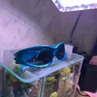 عینک اسپورت|زیورآلات و اکسسوری|زابل, |دیوار