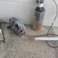 وسایل اکواریم|ماهی|خان ببین, |دیوار