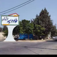 زمین طاووسیه