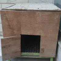 قفس یا جفتی نر|لوازم جانبی حیوانات|اصفهان, جویباره|دیوار