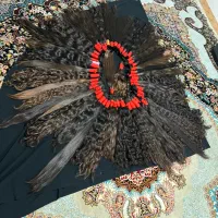 (فروش)خریدار تک عمده موهای خام ورنگی|آرایشی، بهداشتی، درمانی|یاسوج, |دیوار