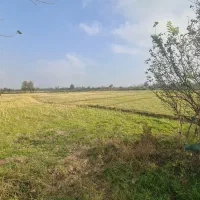 7458متر-زمین-کشاورزی-فقط-متری-250-کوچصفهان