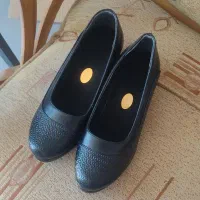 کفش|کیف، کفش، کمربند|آبدانان, |دیوار