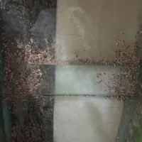 اکواریم|ماهی|اصفهان, سروستان|دیوار
