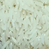 برنج فجر سوزنی تخت بوجار