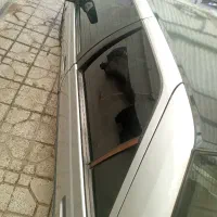 ماشین مدل89تک