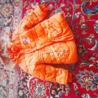 کاپشن و پالتو|لباس|تربتحیدریه, داروپخش|دیوار