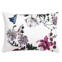 روبالشتی نخی ، ساتن ،مخمل تدی|رختخواب، بالش، پتو|مشهد, امامیه (شهرک غرب)|دیوار