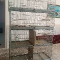 قفس|لوازم جانبی حیوانات|شاهرود, |دیوار